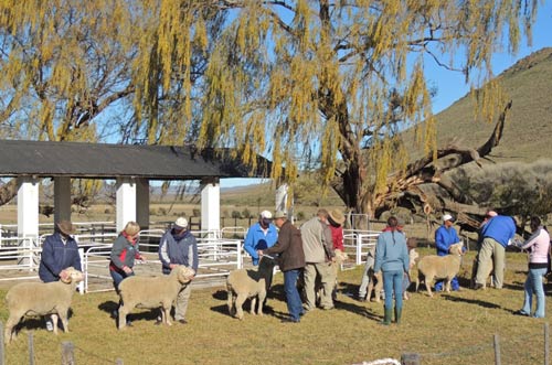 Groenvlei Farm Guest House History